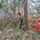 Kebun Bambu 2 Hektare di Gunung Bokok Majalengka Terbakar