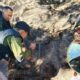 Tim Gabungan Terus Padamkan Titik Panas di Kawah Wadon TNGGP