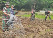 Satgas Citarum Harum Sektor 6 Kembangkan Demplot Ketahanan Pangan di Haurwangi