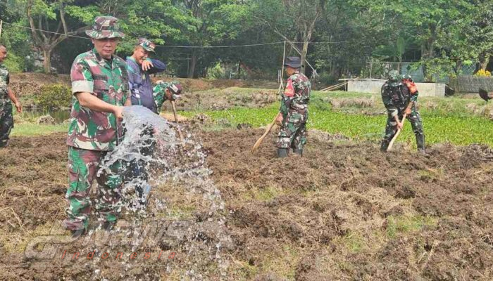 Satgas Citarum Harum Sektor 6 Kembangkan Demplot Ketahanan Pangan di Haurwangi
