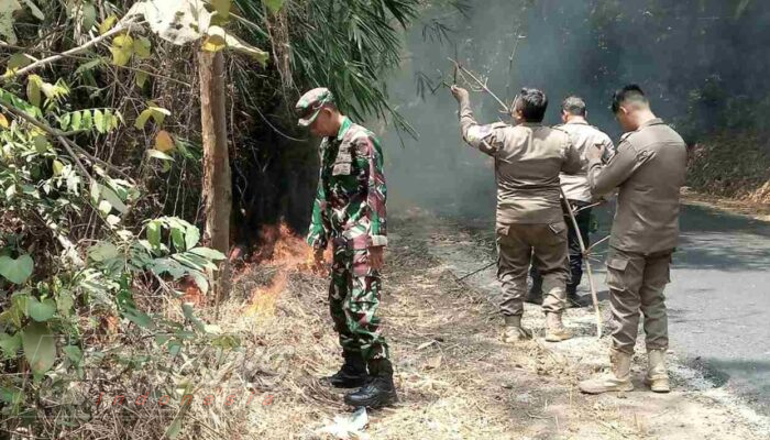 Kebun Bambu di Majalengka Terbakar, Setengah Hektare Lahan Hangus