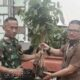 Perhutani KPH Cianjur Serahkan 250 Bibit Mahoni ke Kodim 0608 untuk Penghijauan
