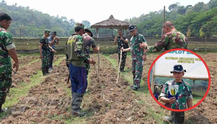 Satgas Citarum Harum Sektor 6 Kembangkan Demplot Ketahanan Pangan di Haurwangi