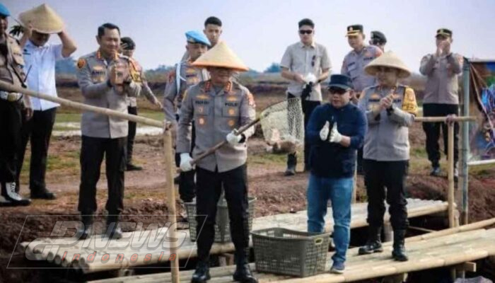 Panen Raya Muara Gembong Hasilkan 10 Ton Ikan dan Udang, Dukung Pasokan SPPG