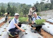 Lapas Cianjur Optimalkan Lahan Campaka untuk Pembinaan dan Ketahanan Pangan