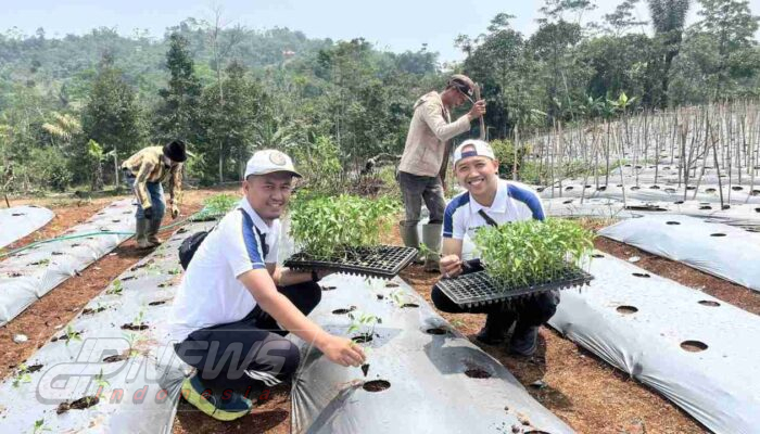 Lapas Cianjur Optimalkan Lahan Campaka untuk Pembinaan dan Ketahanan Pangan