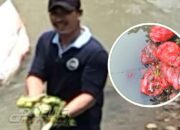 Limbah Organik Cemari Sungai Cibalagung Cianjur, SPPG Mulyasari Tegaskan Bukan Miliknya