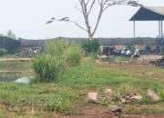 DPMPTSP Cianjur Tegaskan Pabrik Pengolahan Ban Bekas PT Auroraeco Baru Kantongi NIB